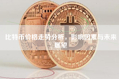 比特币价格走势分析，影响因素与未来展望