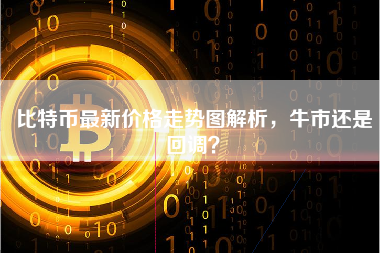 比特币最新价格走势图解析,牛市还是回调? 比特币最新价格走势图解析,牛市还是回调?