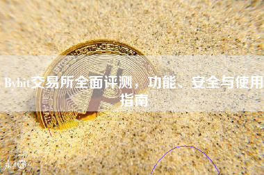 Bybit交易所全面评测，功能、安全与使用指南