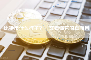 比特币什么样子？一文看懂它的真面目