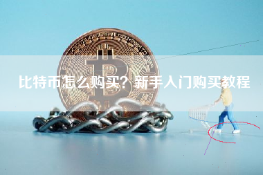 比特币怎么购买?新手入门购买教程 比特币怎么购买?新手入门购买教程