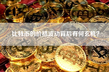 比特币的价格波动背后有何玄机? 比特币的价格波动背后有何玄机?
